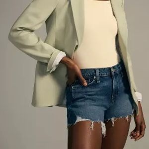 Hudson Gemma Shorts Mid Rise Distressed Raw Hem Size 29 Dark Wash